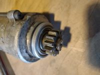Maxim Starter