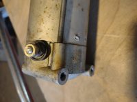 Maxim Starter